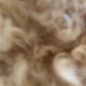 Meet your Posher, Annie